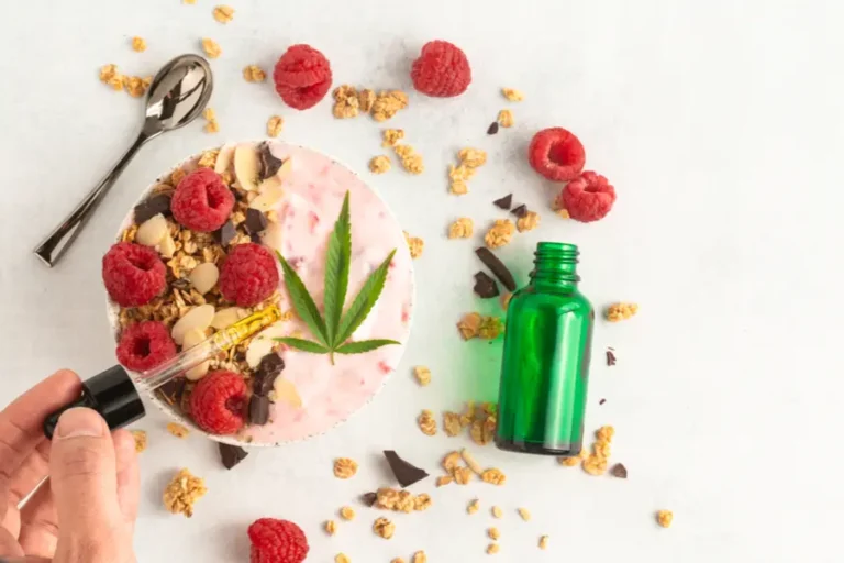 Tinktúry vs Edibles – Ktoré z nich sú pre vás najlepšie?