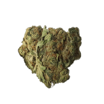 CBD Biscotti 20%