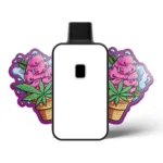 CannaExpress HHC V-POD Berry Gelato 3ml