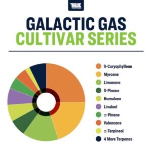 Galactic Gas Terpény